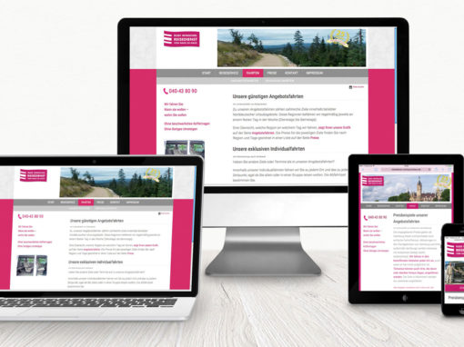 Website, Logoentwicklung, Flyer, Anzeigen